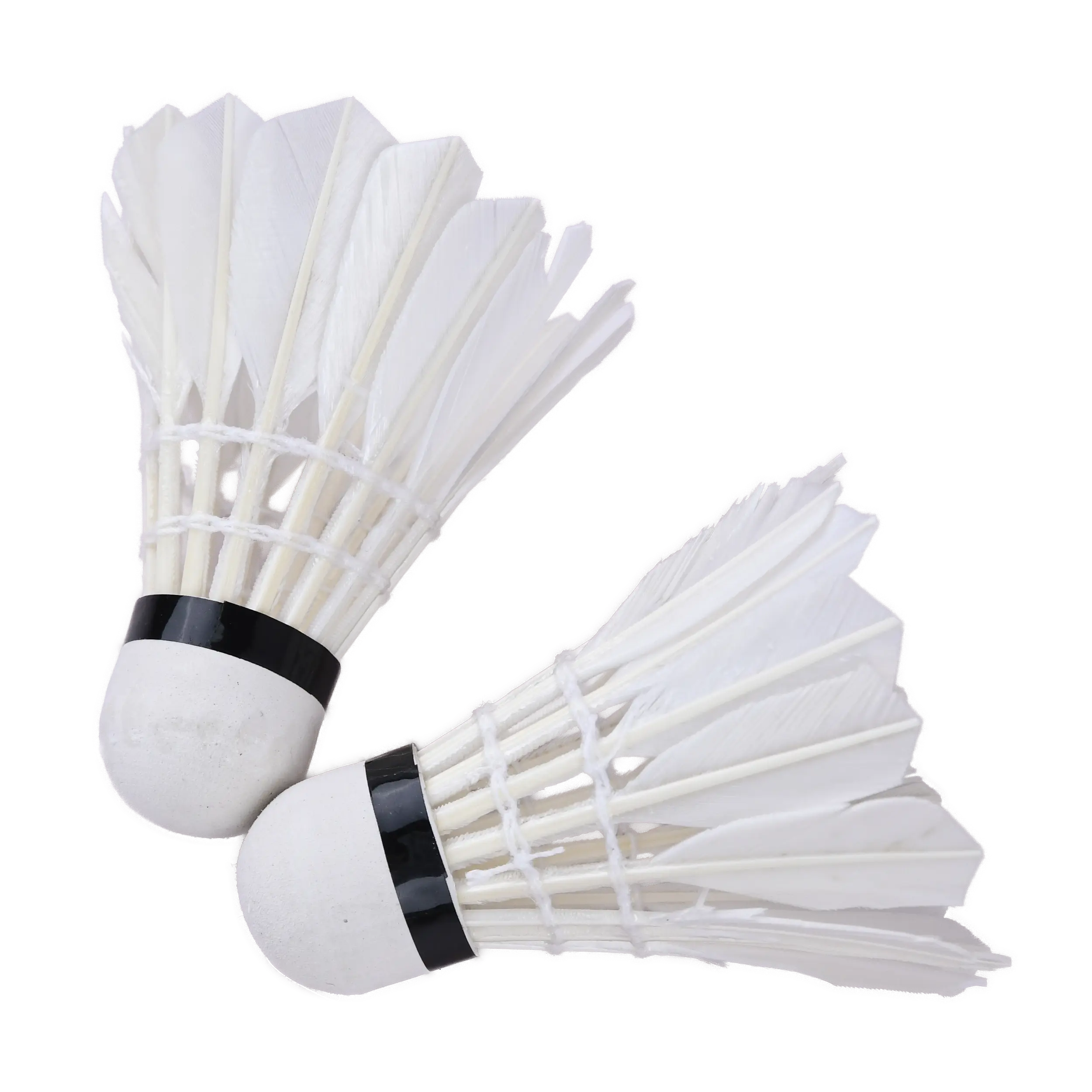 shuttlecock